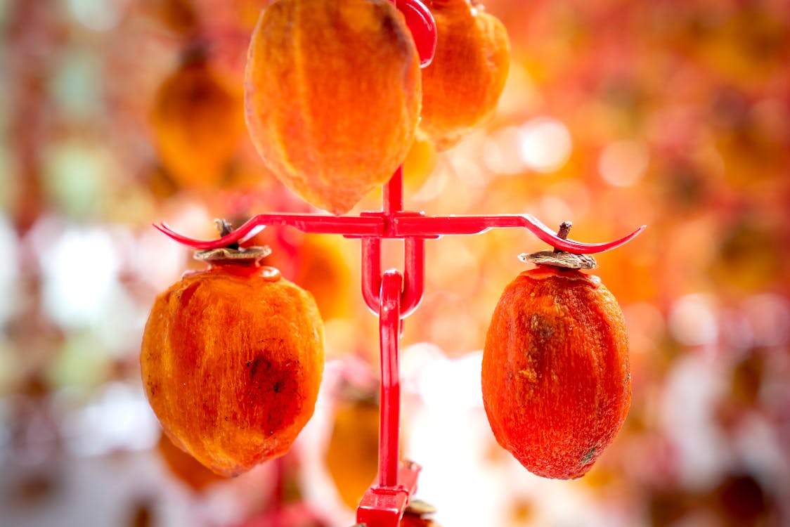 Appetizing sweet persimmons hanging from metal hooks and sun drying in traditional Japanese Hoshigaki method in farm