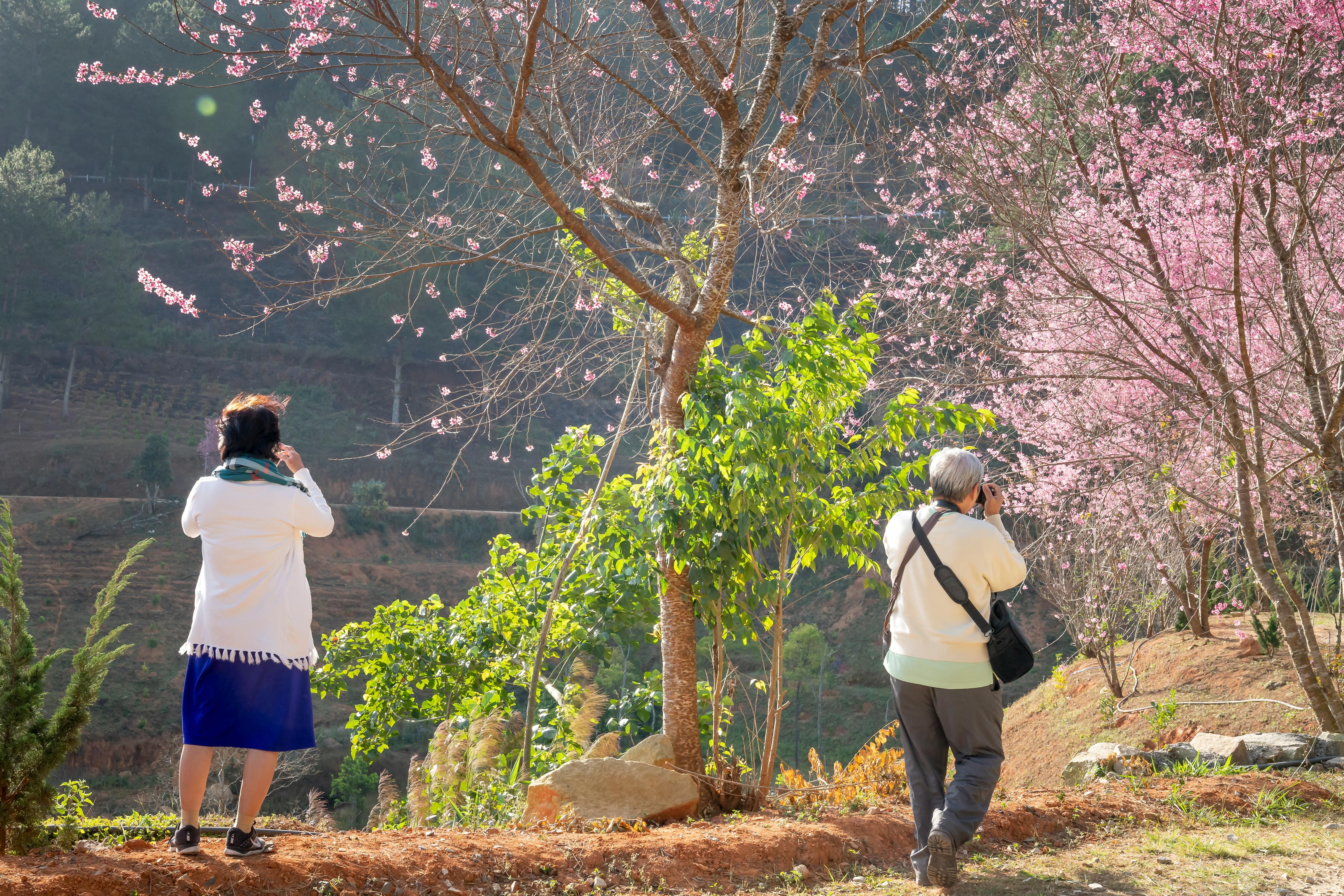 Aromatic Memories of Distant Shores and Hidden Treasures