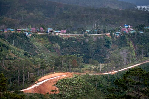 Scenic view of residential buildings and curved roadway between green trees on mountains in daytime
