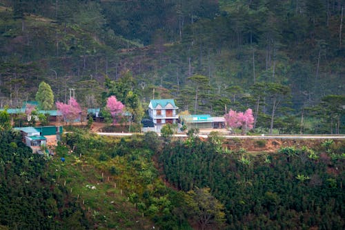 Scenic view of dwelling building exteriors among blooming Sakura and green trees on mounts in spring