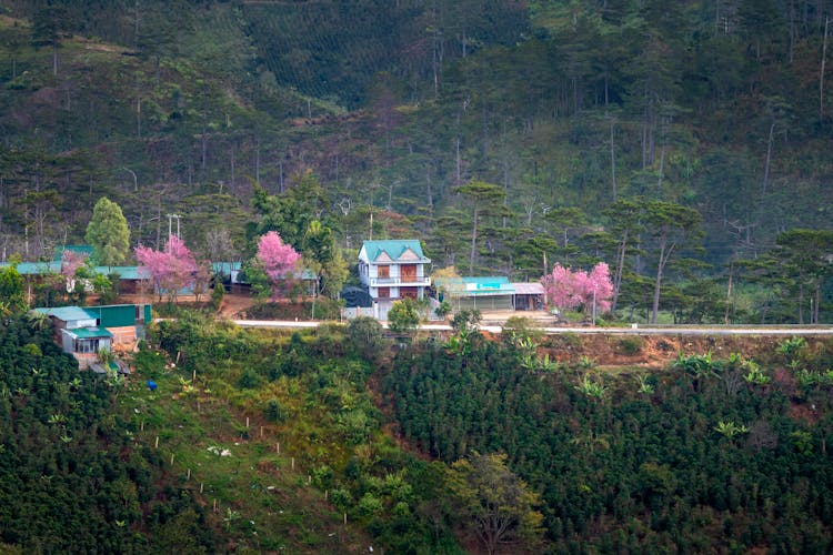 Residential House Facades Between Green Mountains In Countryside