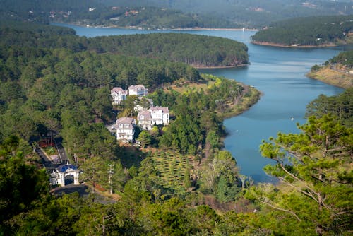 Countryside house facades among lush trees in summer