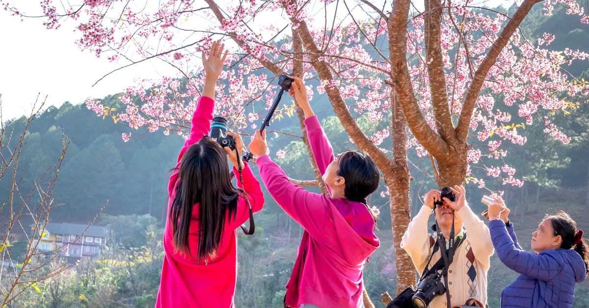 How to say bye in Japanese to a friend