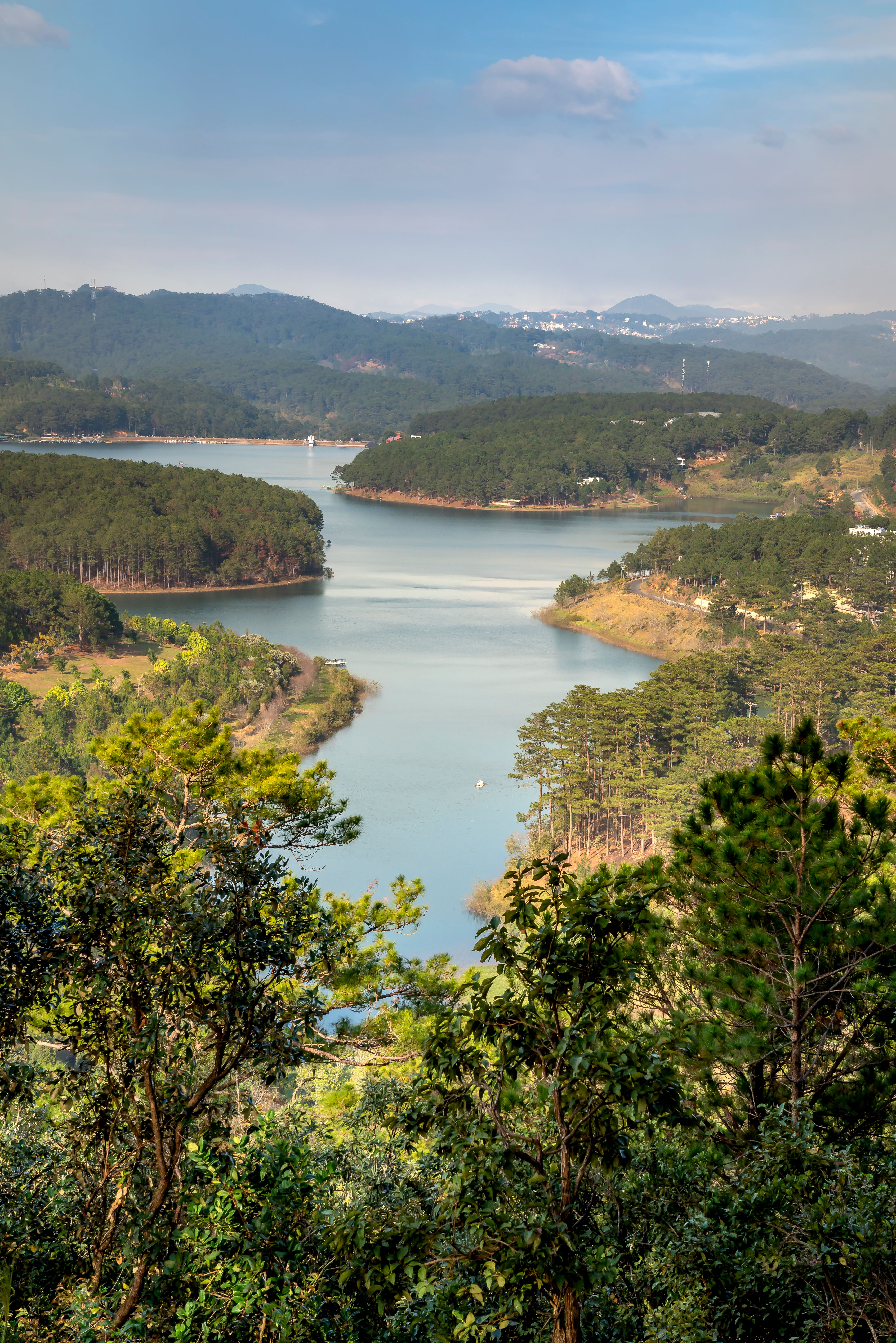 Green Trees Near Body of Water Under Blue Sky · Free Stock Photo