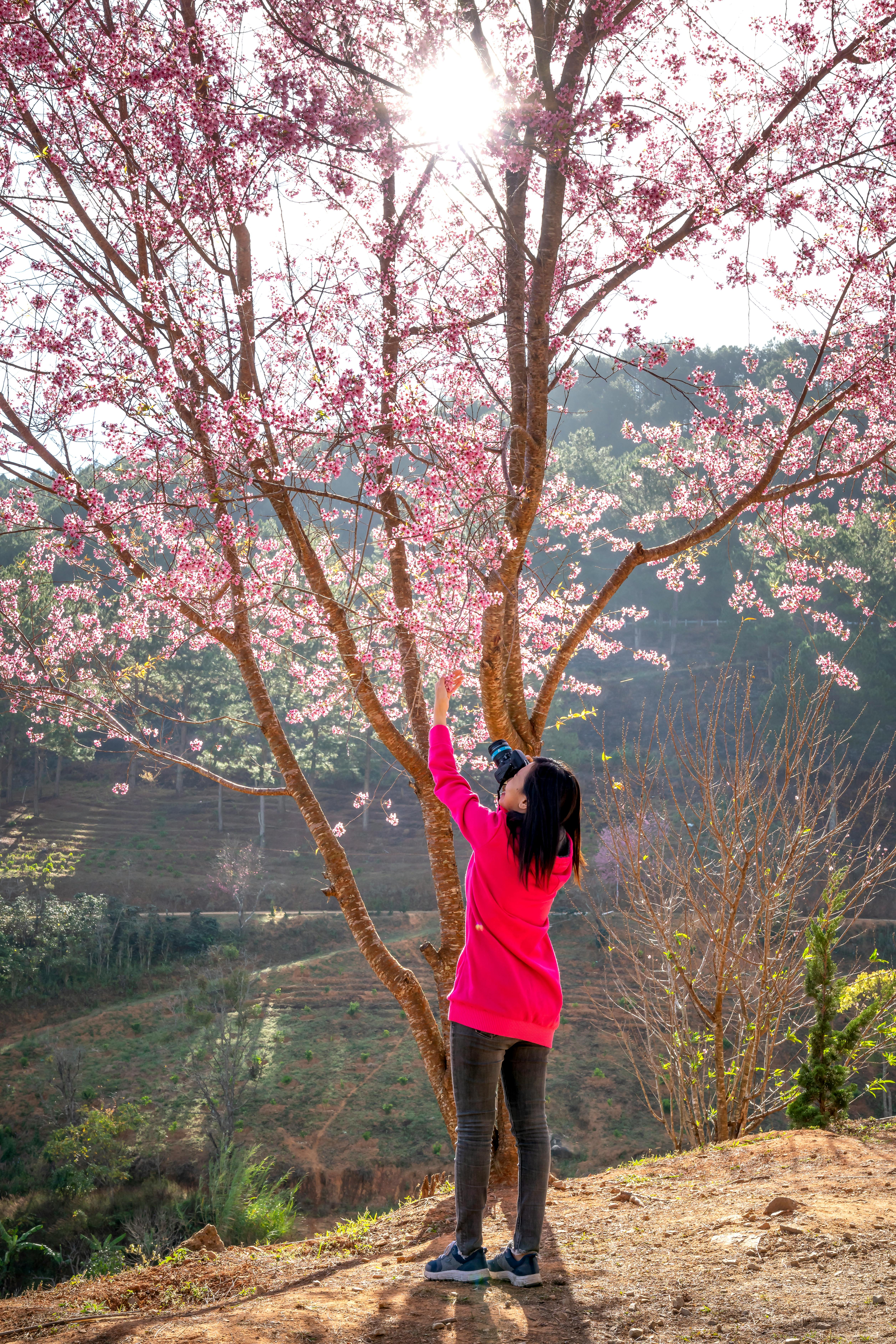 Why do Japanese take baths everyday?