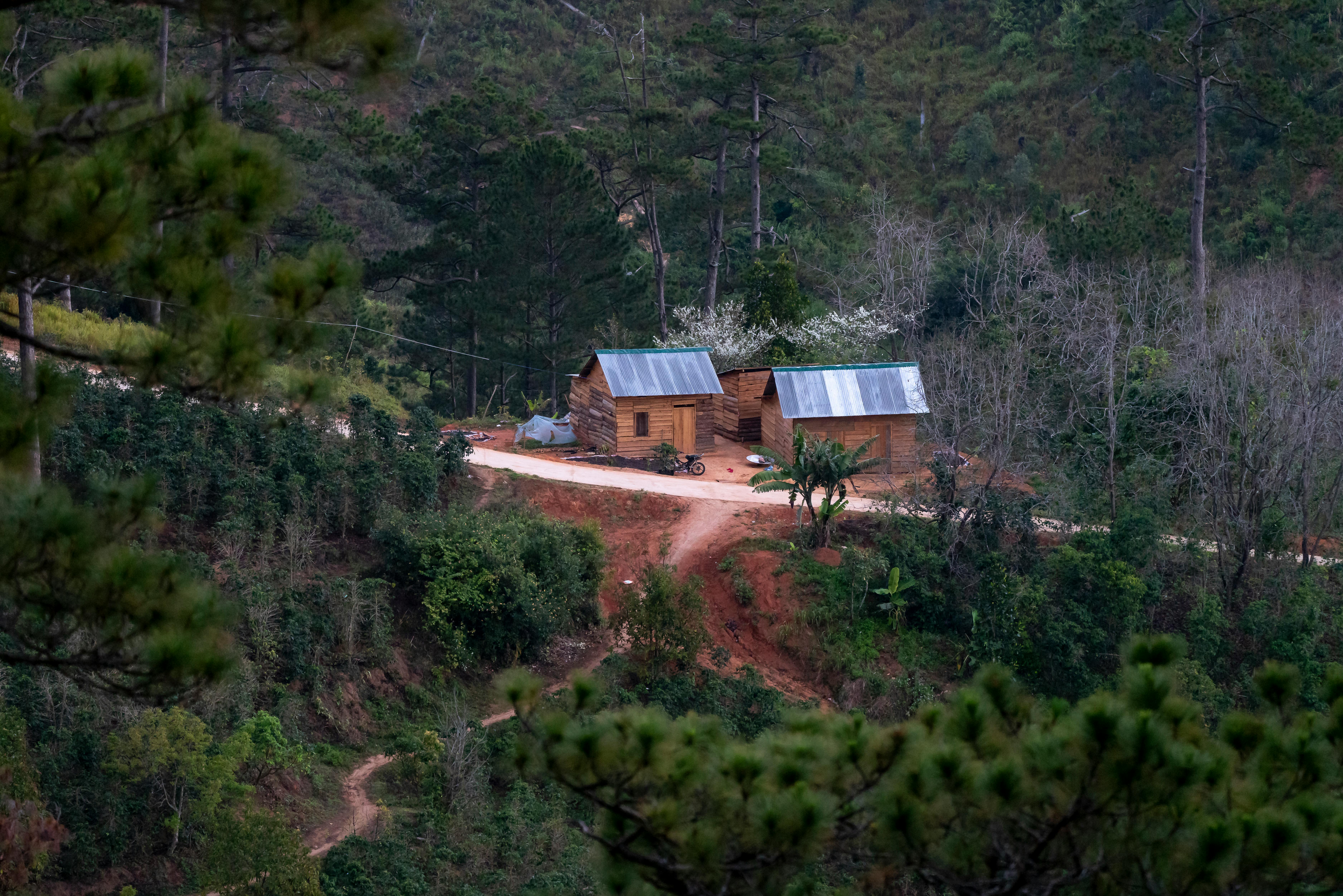 What's the best felt for a shed roof?