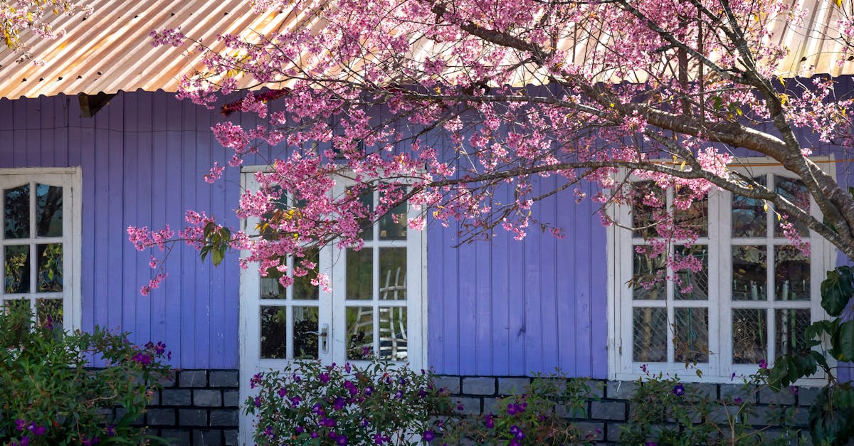 How to replace a dishwasher door spring