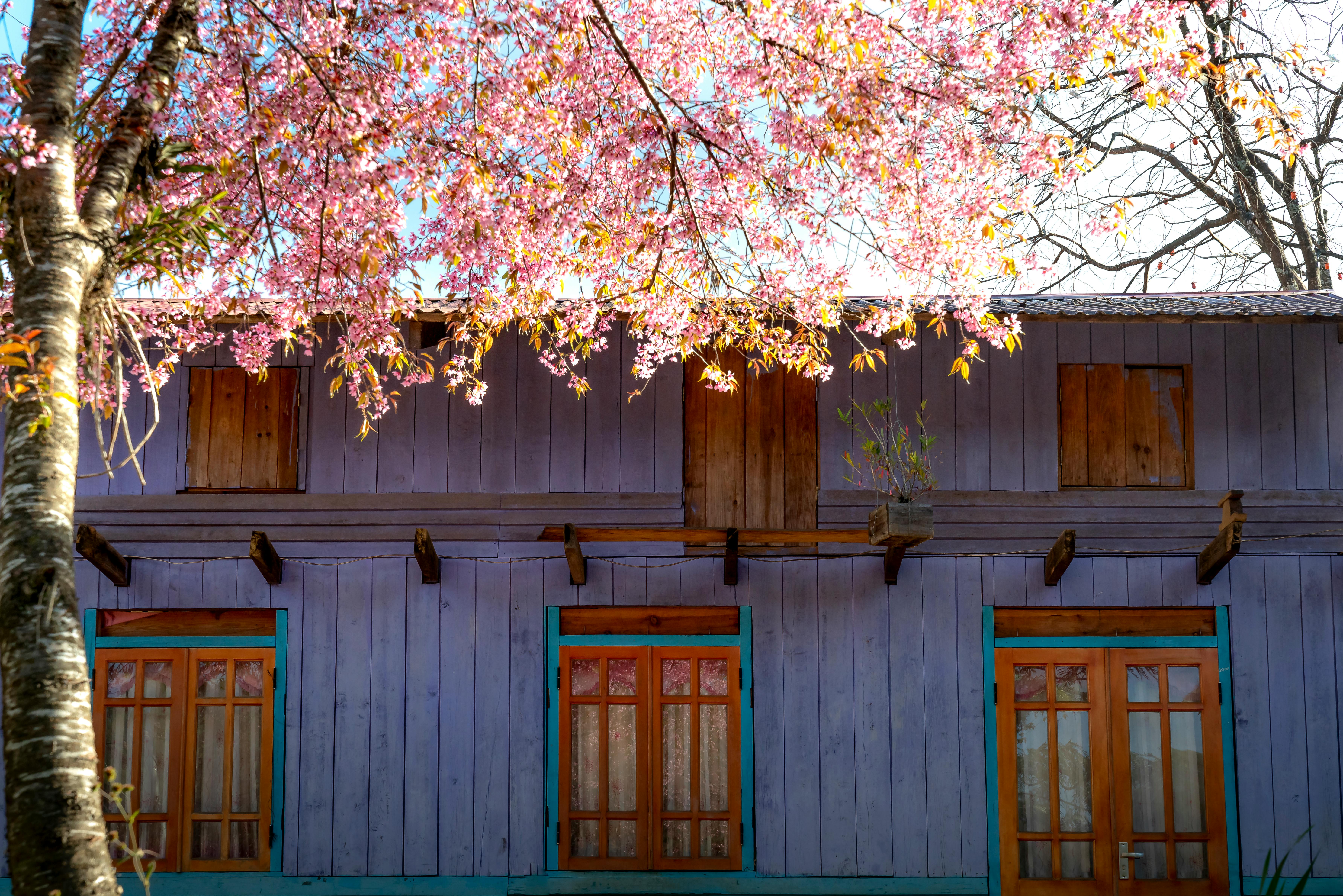 How do I make my house smell like a rich person's house?