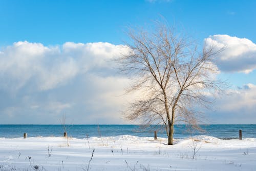 Arctic Blast Brings Strong Winds and Bitter Cold to the Great Plains