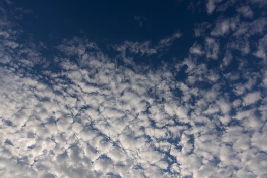 Cirrocumulus Clouds in the Sky