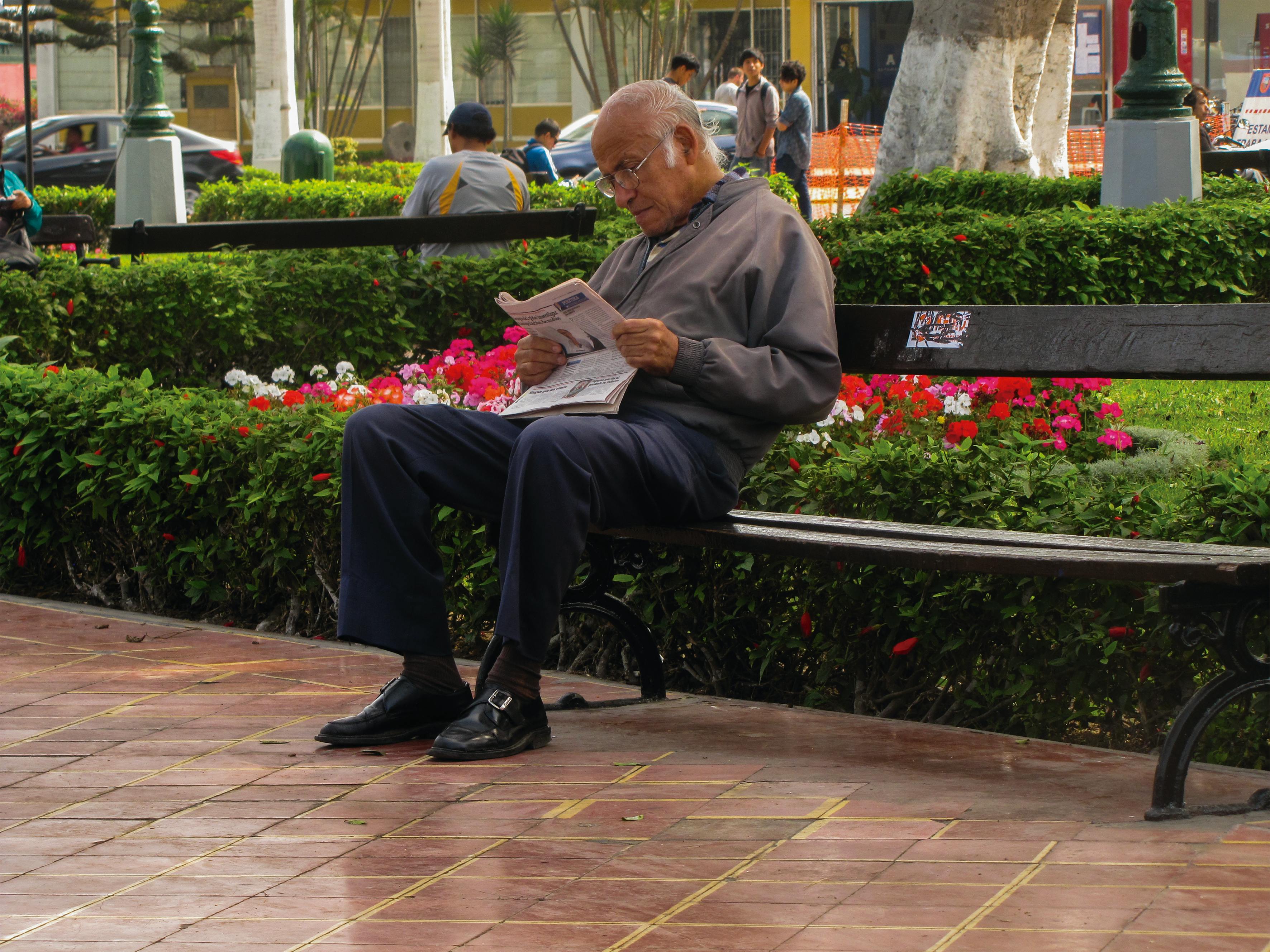 Free stock photo of city park, old man, reading