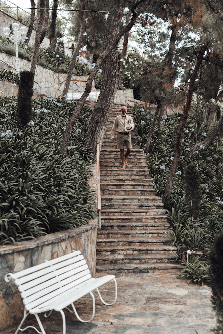 Mature Stylish Man Walking Downstairs In Park