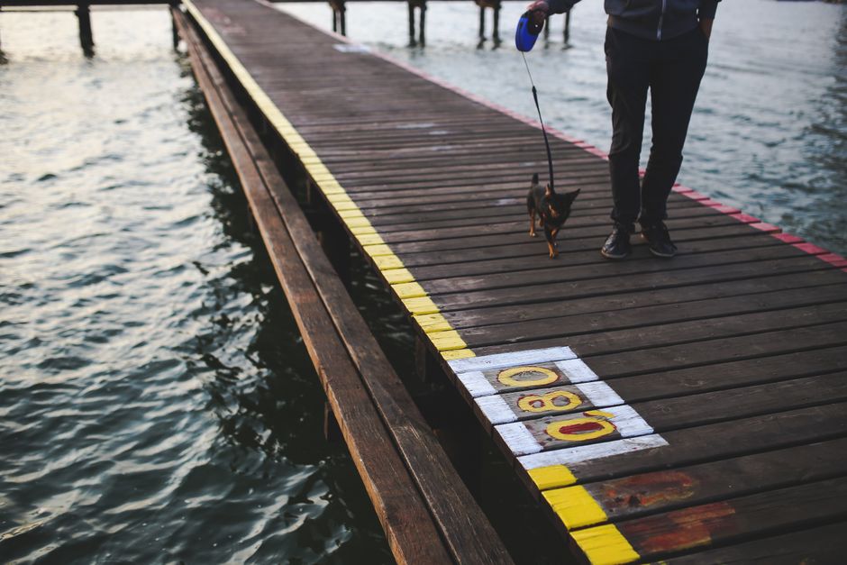 man arguing with dog on pier
