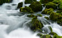 在黑山风景优美的自然风光中，迷人的瀑布流过郁郁葱葱的苔藓岩石