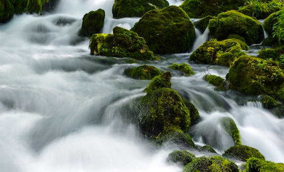 在风景优美的黑山自然风光中，迷人的瀑布流过郁郁葱葱的苔藓岩石