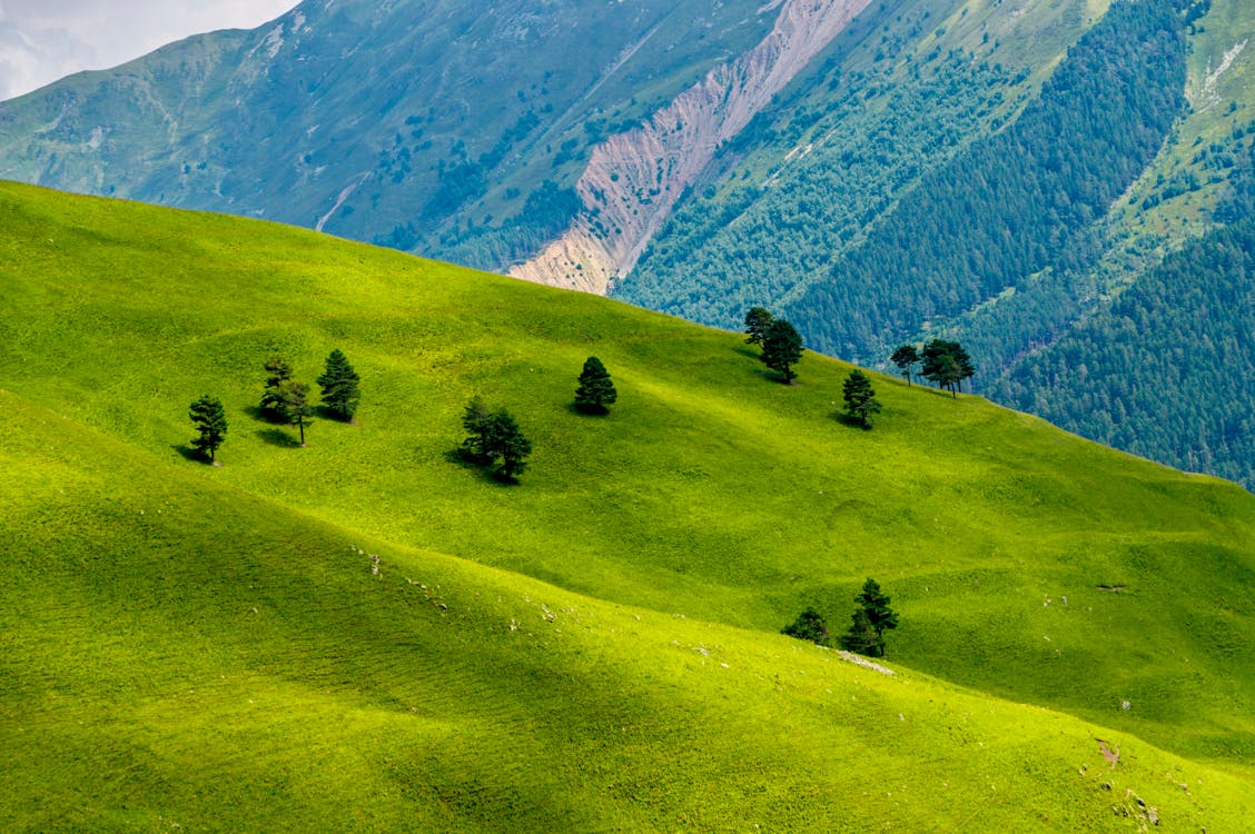 Swiss houses are traditionally built to complement surrounding terrain. | Photo by Paul Knut from Pexels.