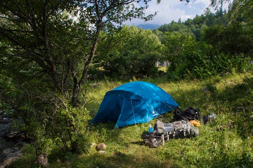 Ücretsiz çadır, çim, kamp içeren Ücretsiz stok fotoğraf Stok Fotoğraflar