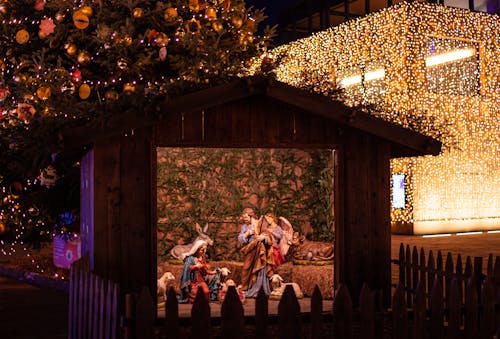 イエス・キリスト, キリスト降誕, クリスマスの灯りの無料の写真素材