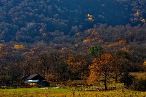 Free Captivating fall landscape featuring a rustic barn, vibrant foliage, and a serene mountainous backdrop. Stock Photo
