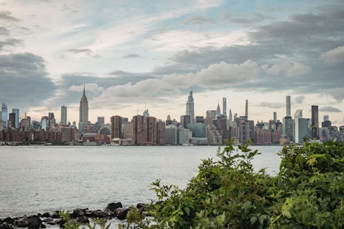 Exterior of contemporary city with high skyscrapers located on shore of rippling river and green plants on foreground