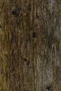 Brown and Black Wooden Surface
