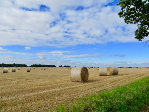 Gratis stockfoto met balen hooi, blauwe lucht, land