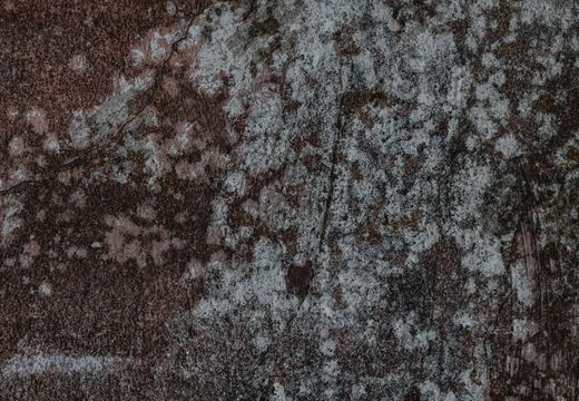 Weathered wall with cracks and mold