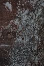 A Brown with Cracks and Molds