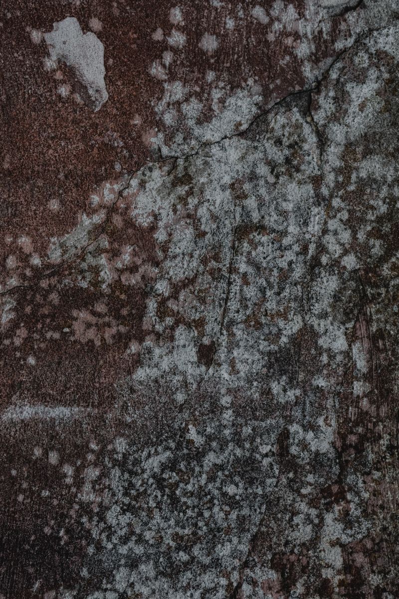 Mold damage on an interior wall surface
