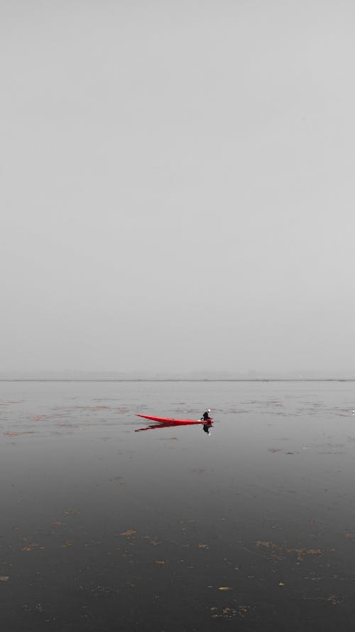 Základová fotografie zdarma na téma člun, horizont, moře