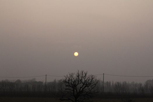Calm autumn sunset scene with bare trees and power lines under a misty sky.