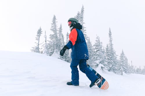 Kostnadsfri bild av åka snowboard, bergsområde, fläta