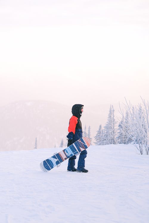 Foto profissional grátis de ao ar livre, coberto de neve, diversão