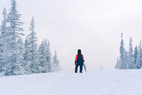 Foto profissional grátis de ao ar livre, coberto de neve, diversão