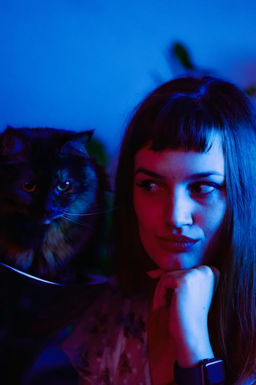 Free Young woman with cat in blue neon illumination Stock Photo