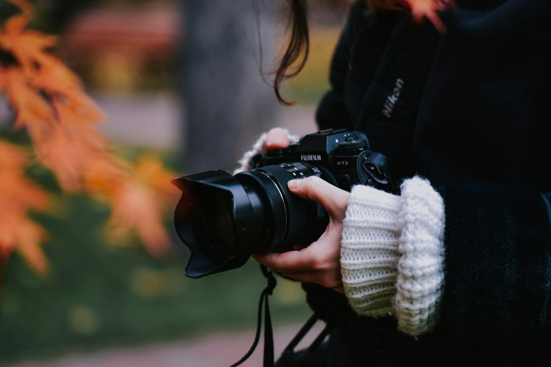 Crop photographer taking pictures in autumn