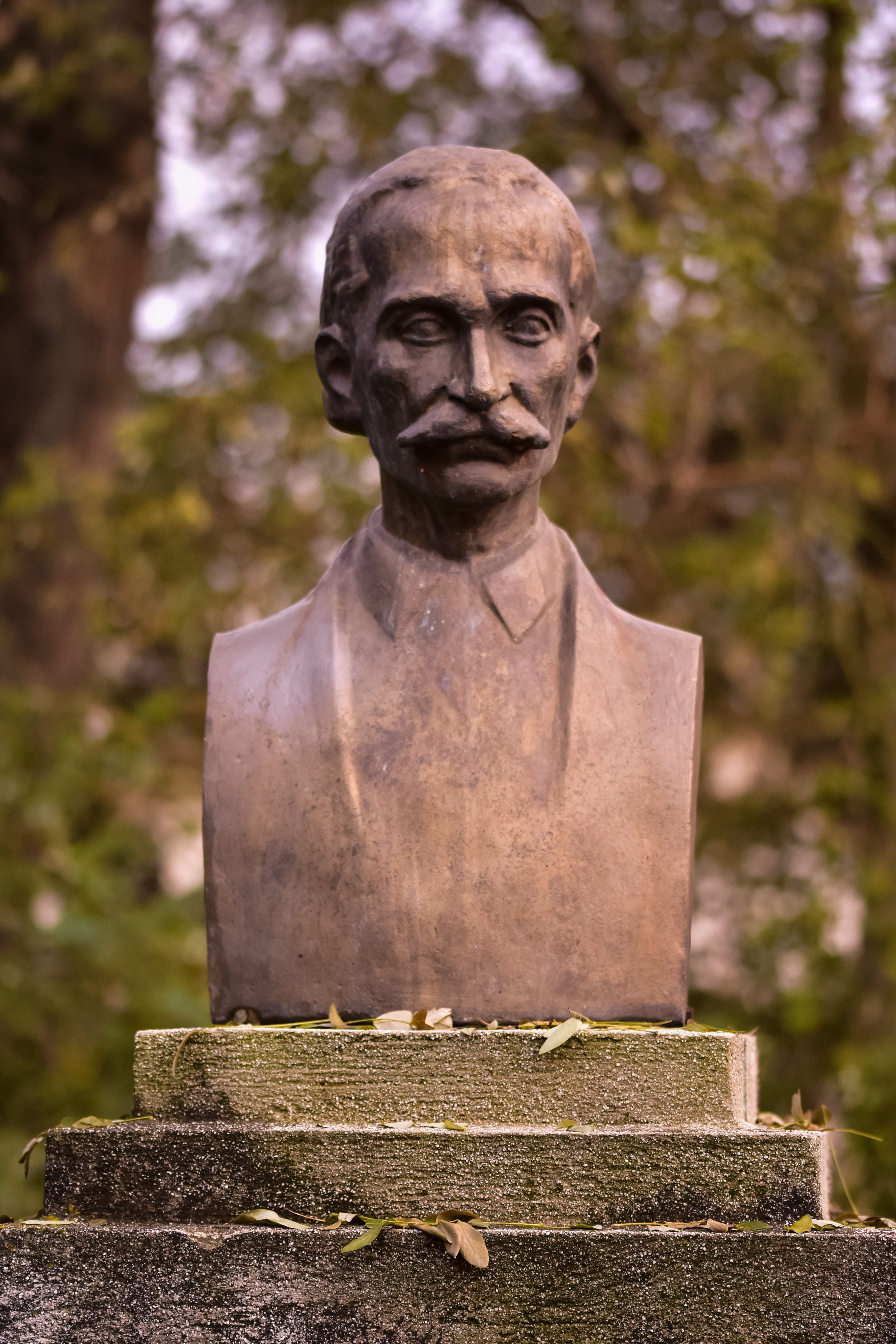 Bust of man with mustache carved out of stone and placed in park