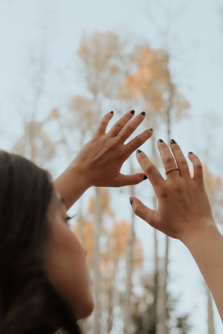 Female Reaching Out Hands Against Autumn Trees