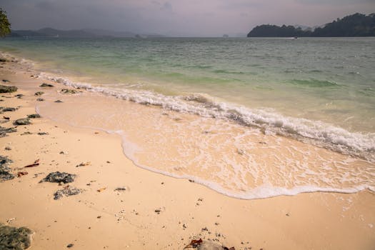 A serene sandy beach with gentle waves, under an overcast sky, perfect for relaxation.
