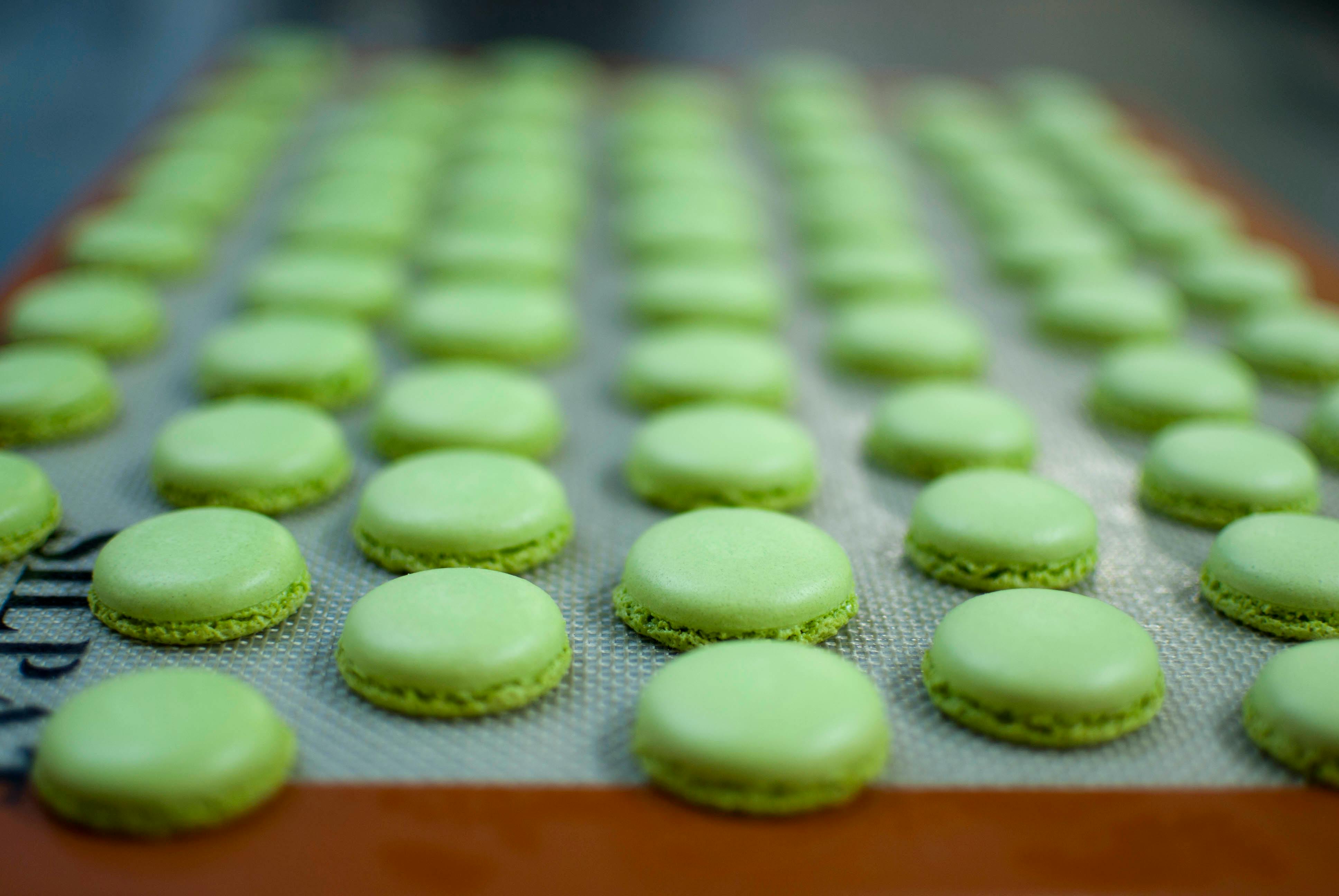 Freshly baked green macarons displayed on a baking sheet, showcasing culinary precision.