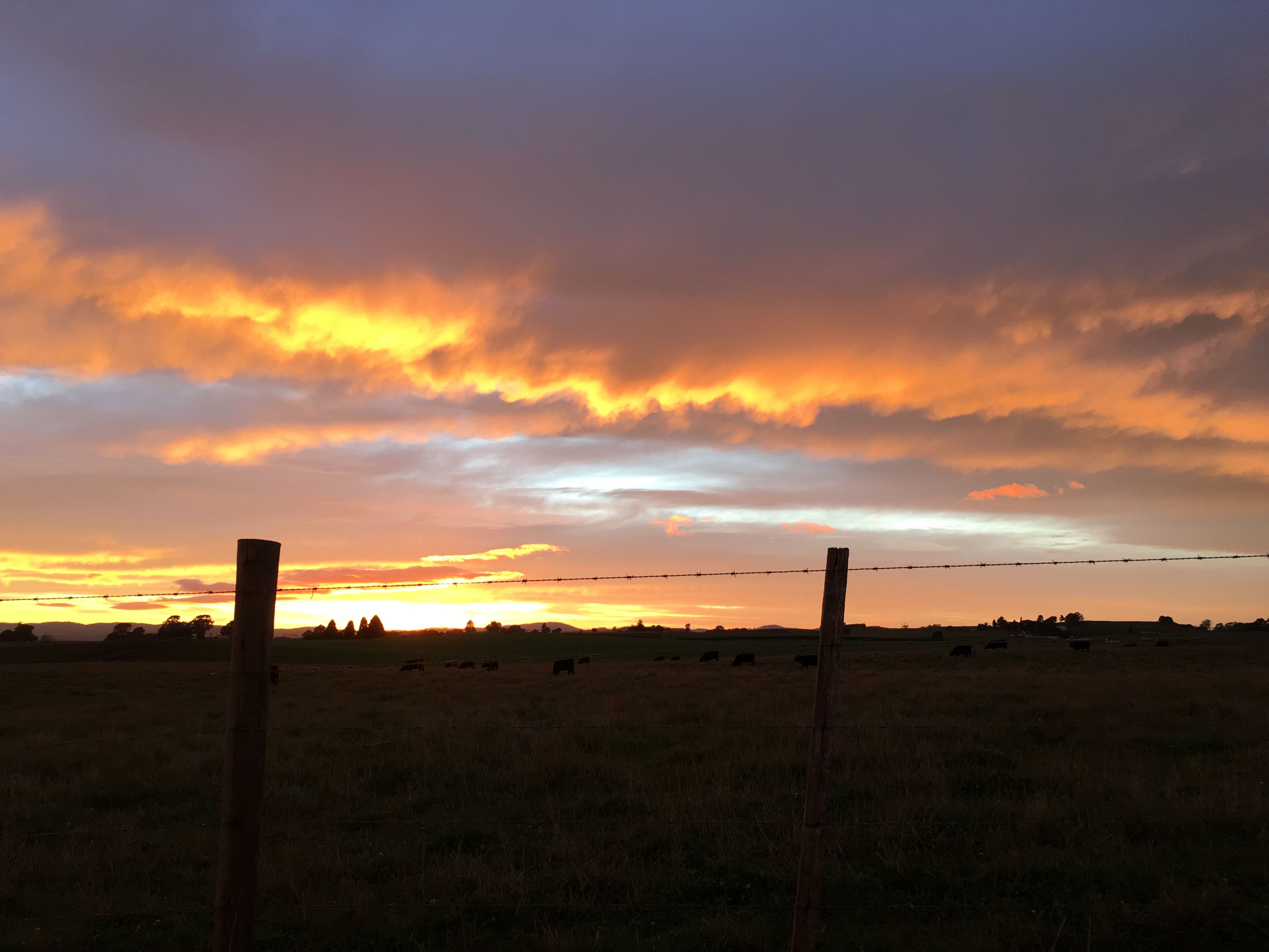 Foto Profissional Gratuita De Cerca De Fazenda Nascer Do Sol