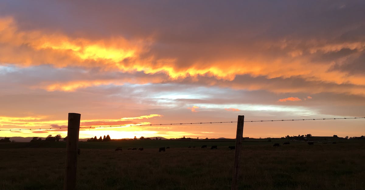 Free stock photo of farm fence, sunrise