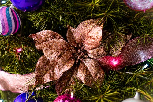 Gratis stockfoto met detailopname, kerst seizoen, kerstdag