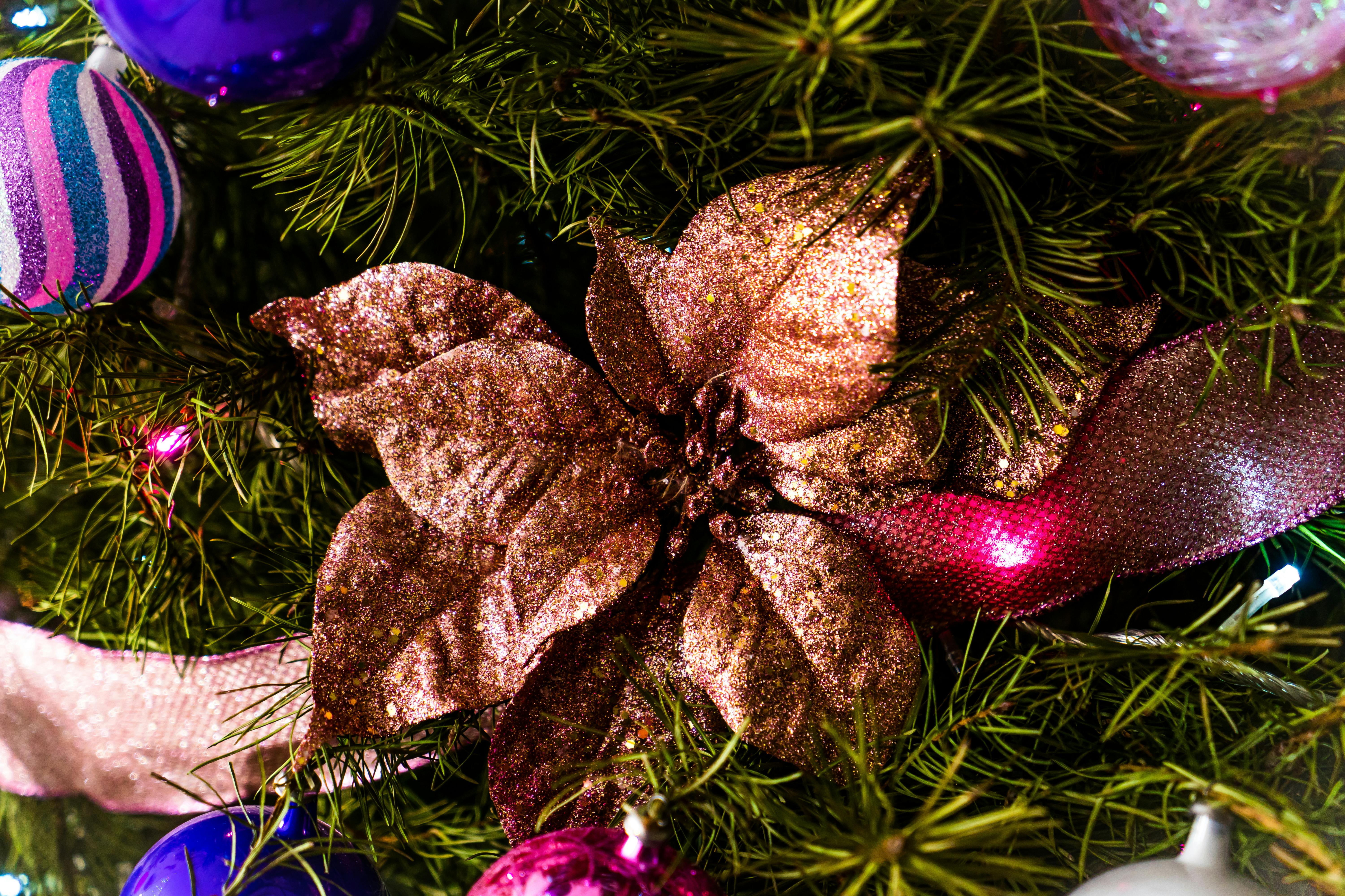 Foto De Foco Raso De Acredite Na Magia Da Sinalização De Natal · Foto profissional gratuita Foto De Foco Raso De Acredite Na Magia Da Sinalização De Natal · Foto profissional gratuita
