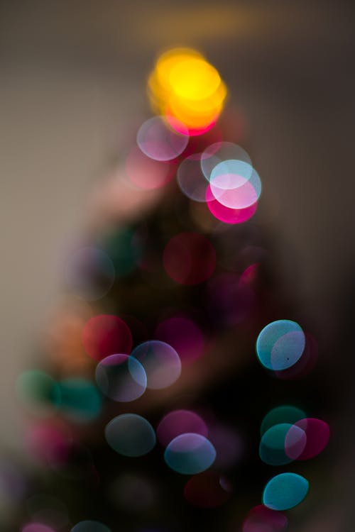 Kostnadsfri bild av bokeh, julgran, lampor