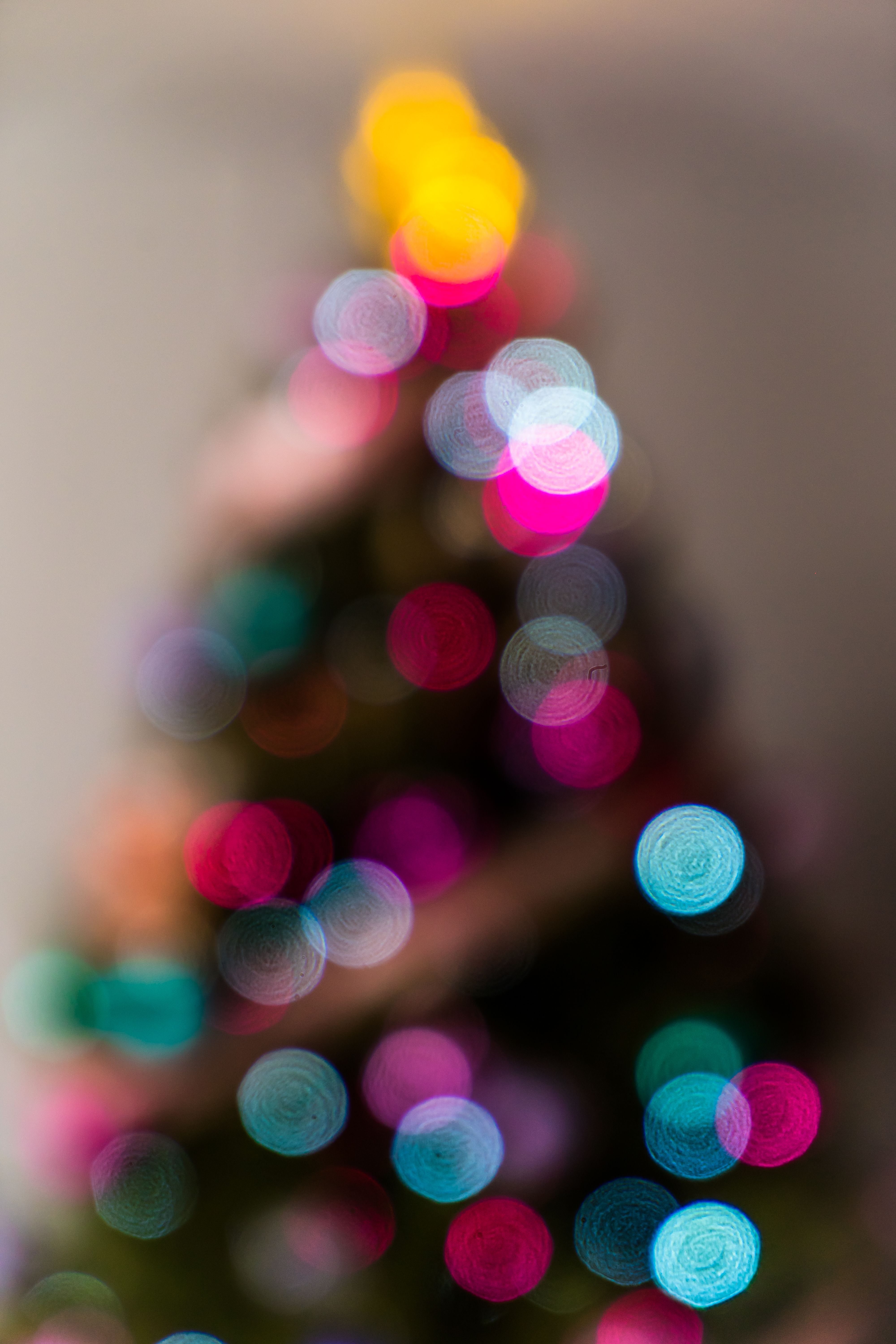 Blurry Photo of a Christmas Tree · Free Stock Photo
