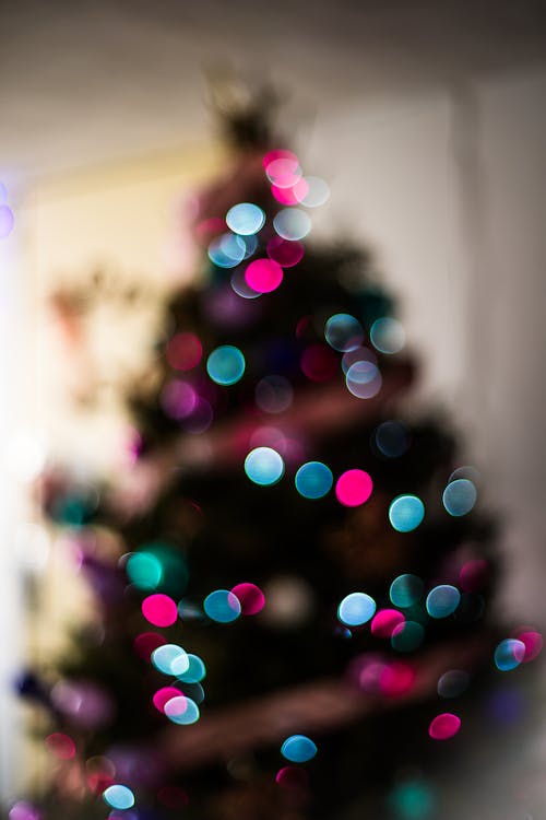 Gratuit Imagine de stoc gratuită din blur, bokeh, brad de crăciun Fotografie de stoc