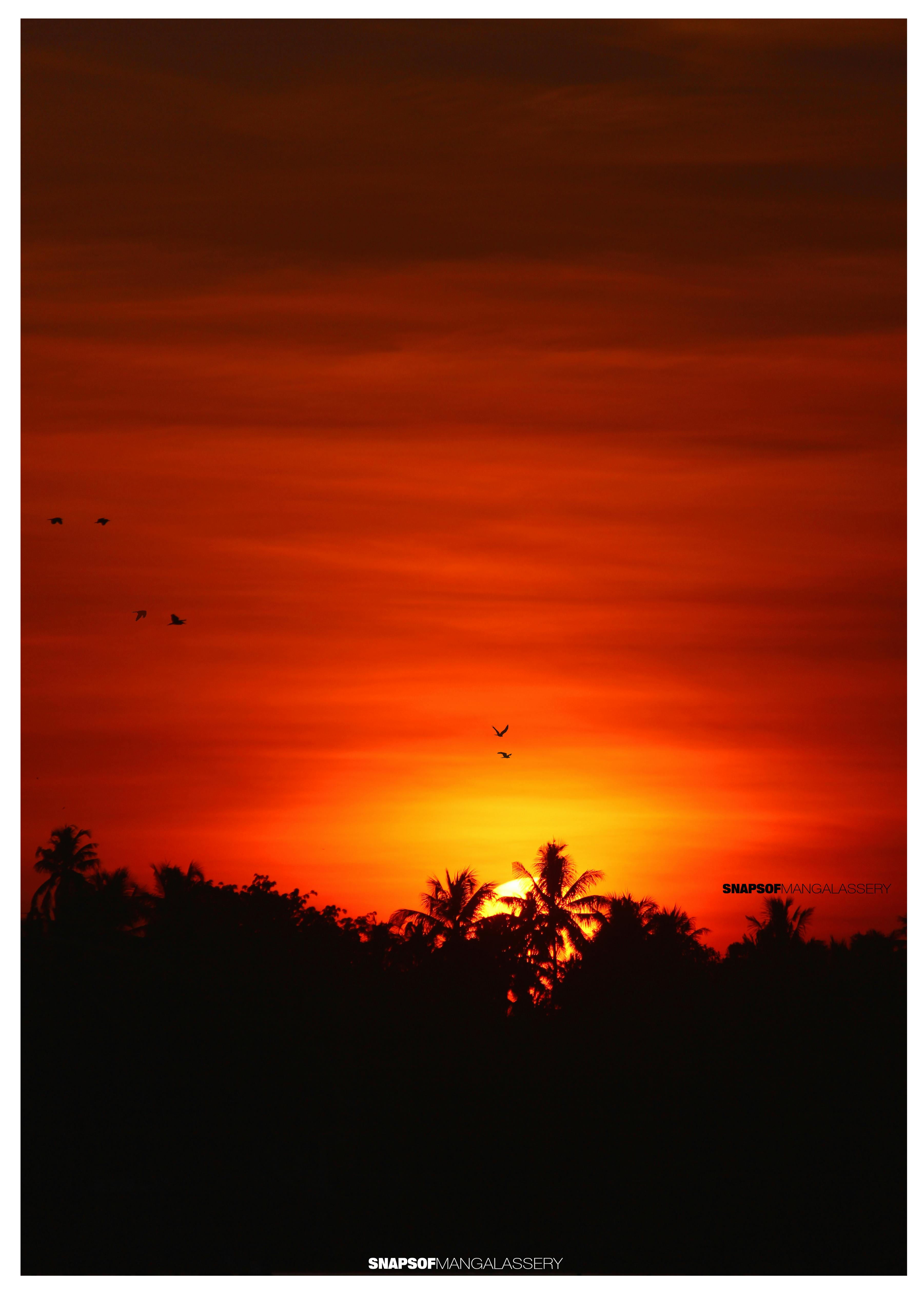 Free stock photo of evening, evening sky, evening sun