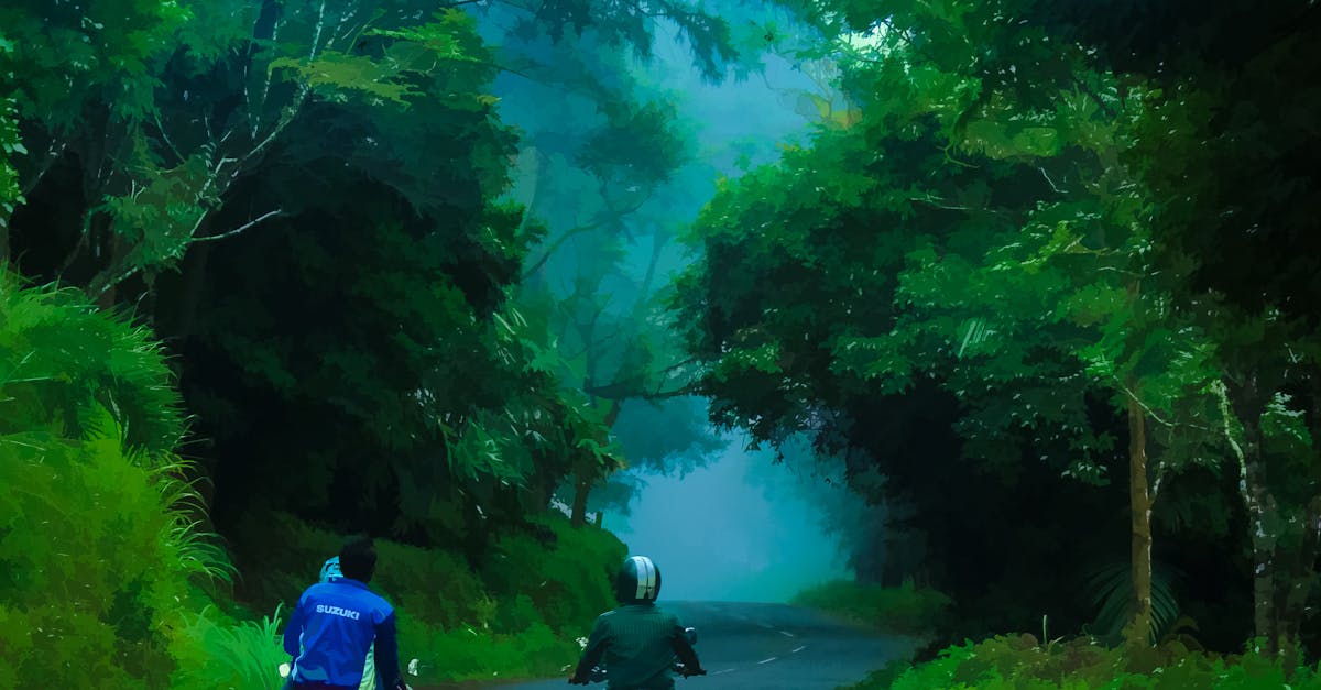 Free stock photo of bike rider, foggy, forest