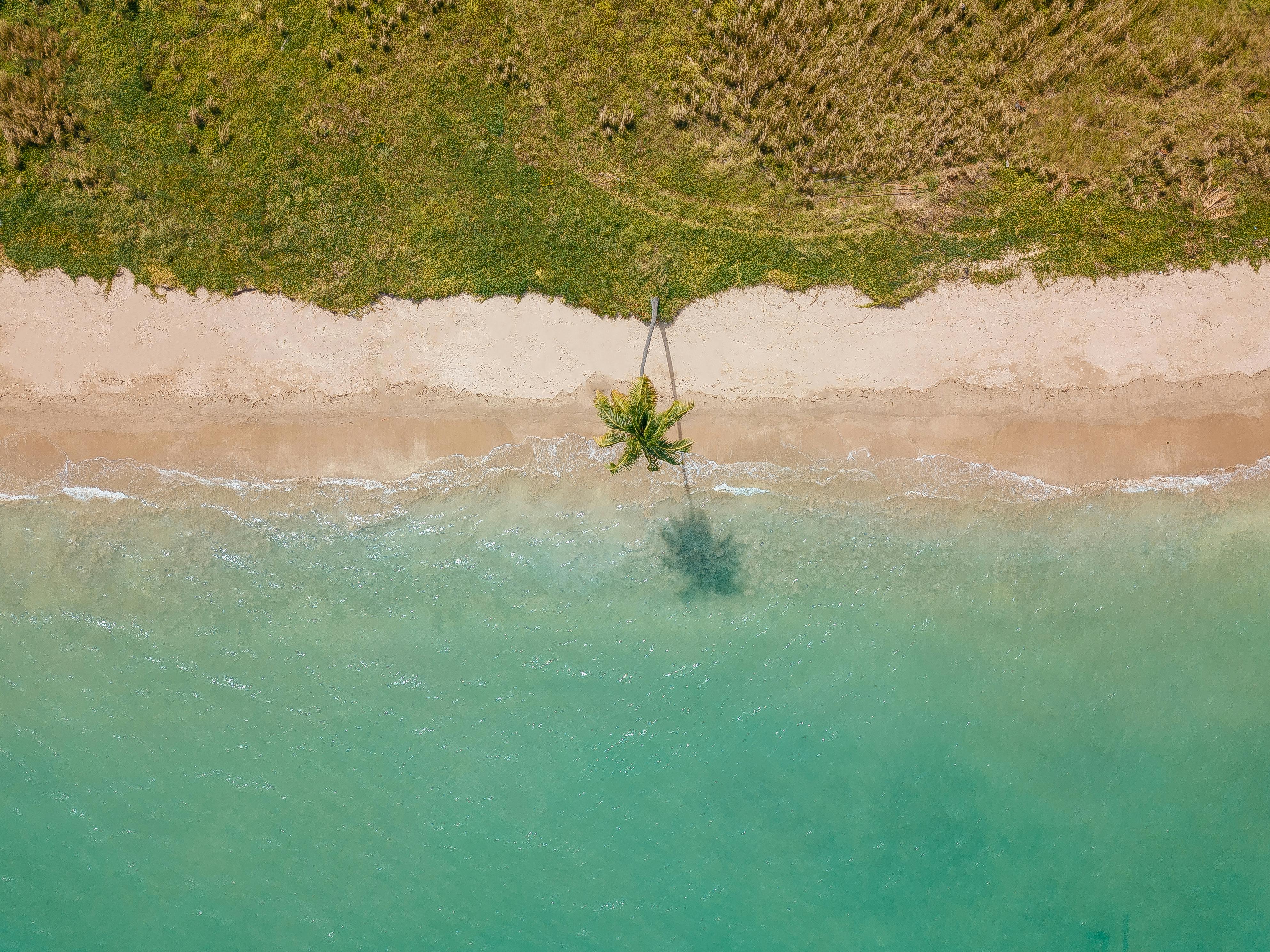 100.000+ melhores imagens de Areia Movediça · Download 100% grátis · Fotos  profissionais do Pexels